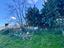 Immagine 22