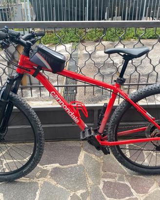 Mountain bike