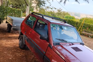 Panda4x4 più carrello