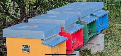 Famiglie e sciami api