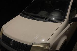 Panda Bianca benzina anno 2008