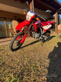 HONDA CRF 300 L