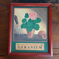 Quadro Vintage Botanico /Country - 9 pezzi 