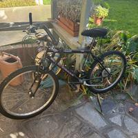 La bicicletta per una donna/ragazza