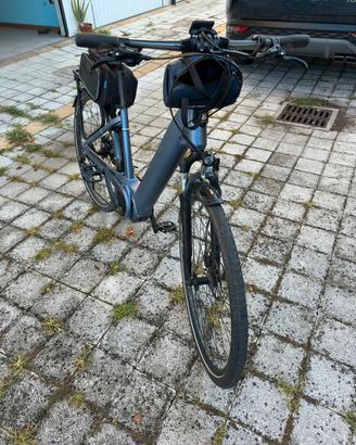 bicicletta elettrica