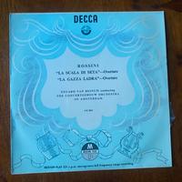 Vinile