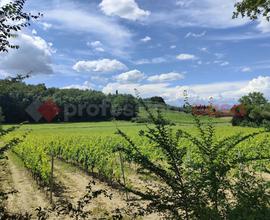 Terreno Agricolo Empoli [TA001VCG]