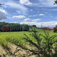 Terreno Agricolo Empoli [TA001VCG]