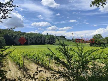 Terreno Agricolo Empoli [TA001VCG]