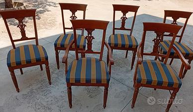 6 sedie in noce