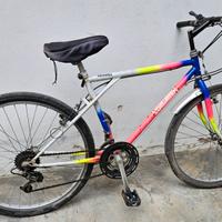 BICICLETTA MOUNTAIN BYKE MISURA 26
