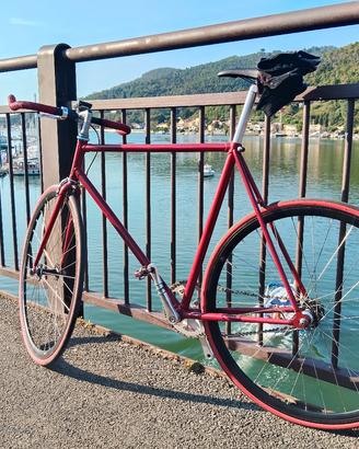 Bici Single Speed 