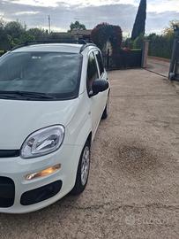 Fiat Panda 2021