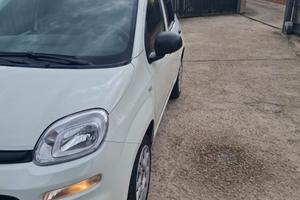 Fiat Panda 2021