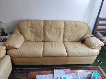 Divani Natuzzi 