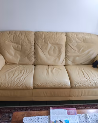 Divani Natuzzi 