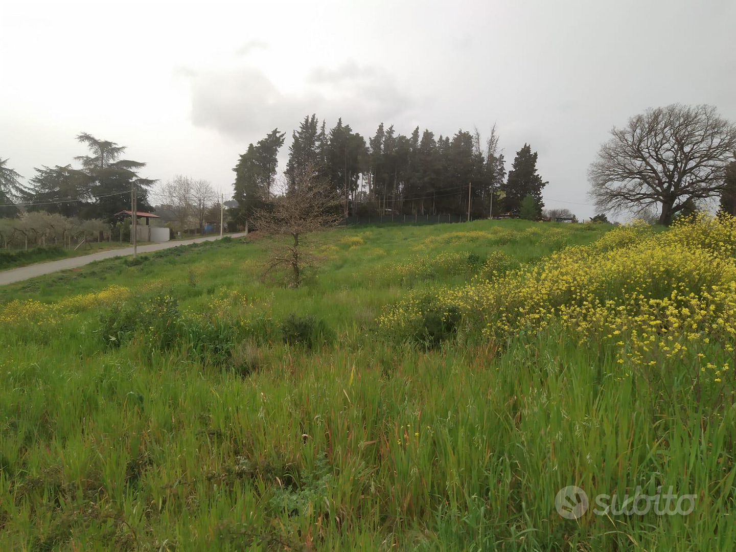 Terreno agricolo - Vista 2