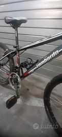 mtb 24