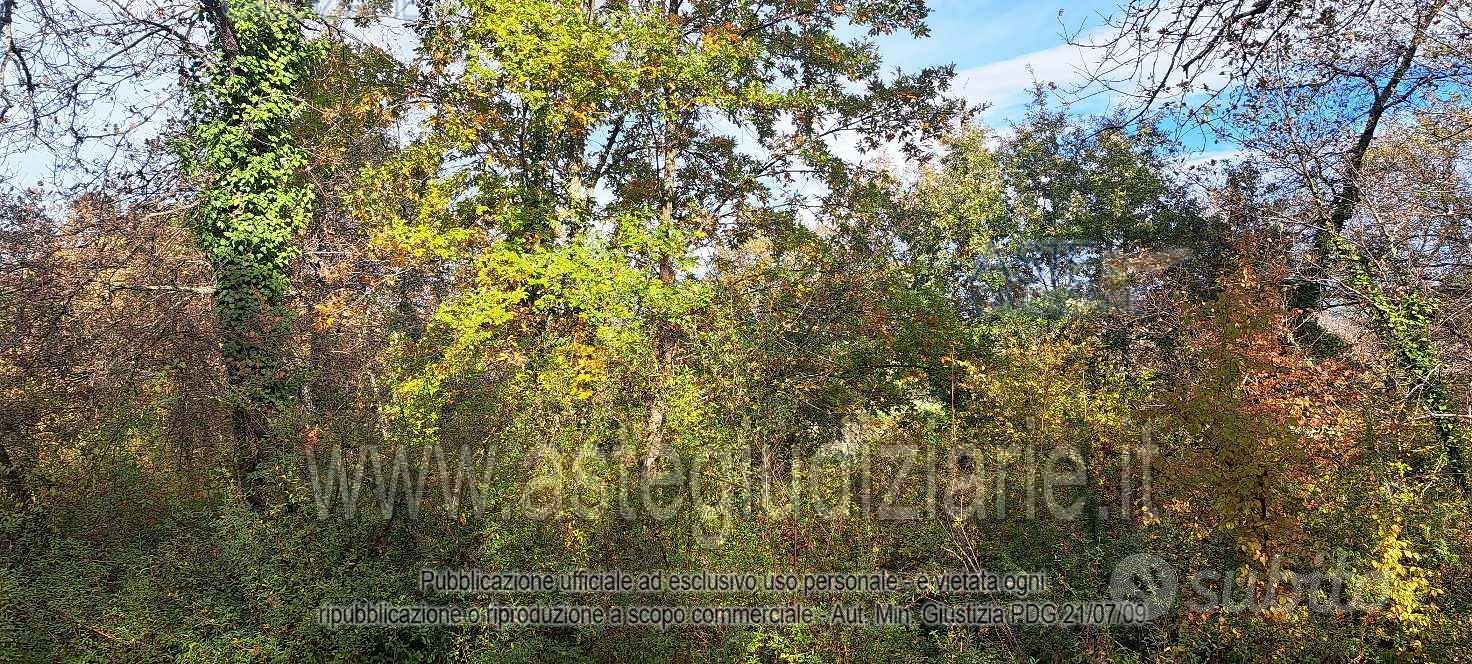 Terreno Agricolo Rapolano Terme [A4356525] - Vista 3