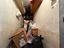Immagine 16