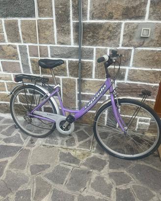 2 biciclette in buone condizioni