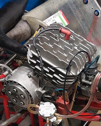 Motore TM K3 kart revisionato completo