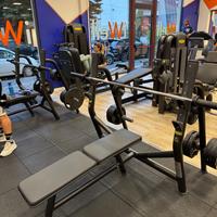 Panca piana technogym con porta dischi