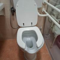 Sanitari disabili