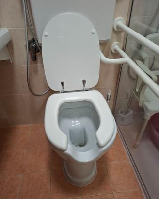 Sanitari disabili