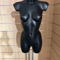 Attrezzature per negozio