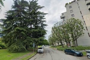 Monolocale vicino San Raffaele 590eu arredato