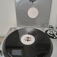 Green Court – Moonflight