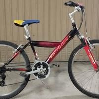 Bici Bottecchia ragazza / ragazzo - ruote 24’’