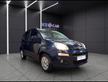 FIAT Panda 3ª serie - Panda 1.2 Lounge