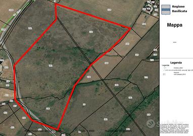 Terreno seminativo 65.000 m2 pignola vista lago