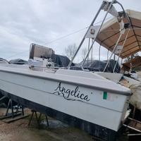 Astra 21 cv115 ho etec barca open 