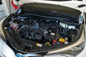 TOYOTA C-HR - 2018 Dynamic Plus full optional