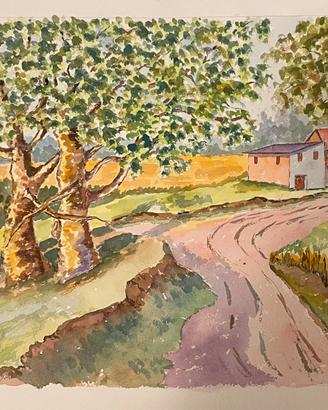 Dipinto Acquerello Paesaggio - G. Arduini