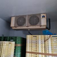 CELLA FRIGO