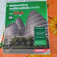 Matematica multimediale verde - seconda edizione