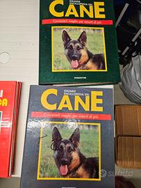Enciclopedia cane