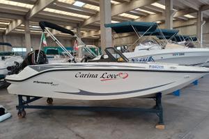 Bayliner Element M17