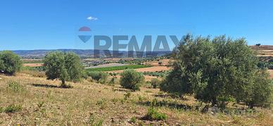 Terreno - Noto