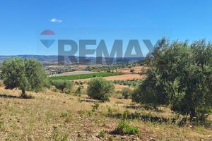 Terreno - Noto