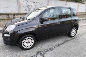 Fiat Panda 1.2 benzina 69cv 2019 km 50000 