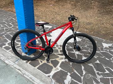 MTB Lombrdo Sestrieste 350 (pari al nuovo).