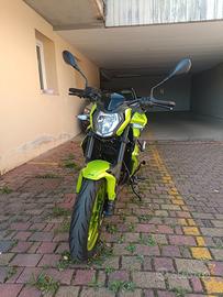 Benelli BN 125 - 2023