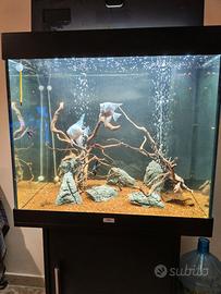 Acquario 