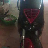 piaggio NRG mc3 dd 