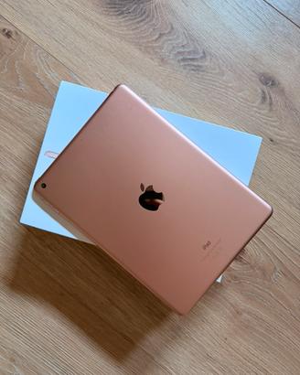 iPad 6a Gen. (2018) + Apple Pencil 1a Gen.